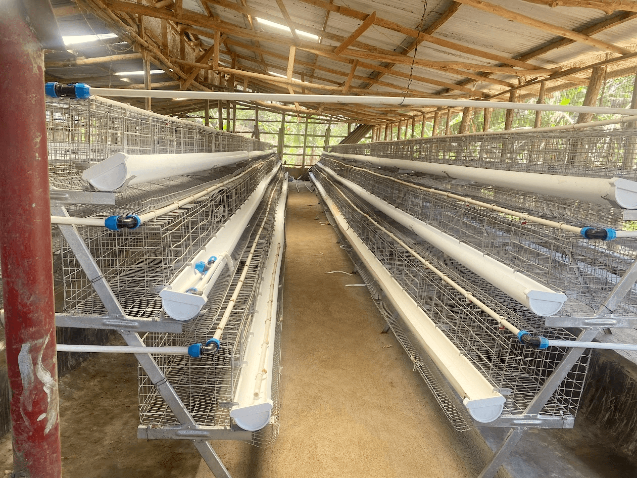 images of the project