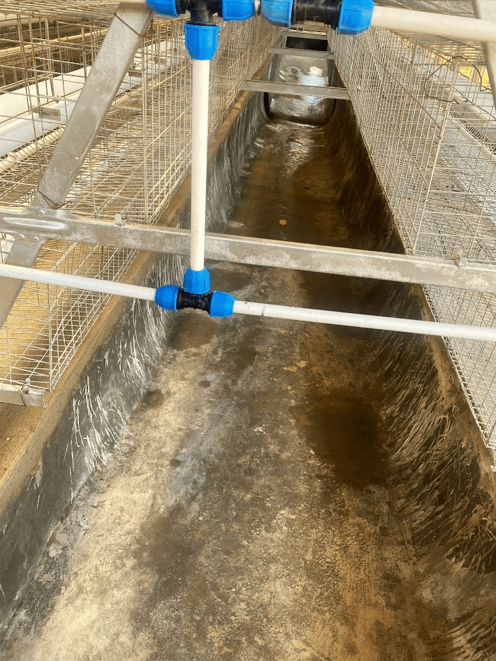 images of the project