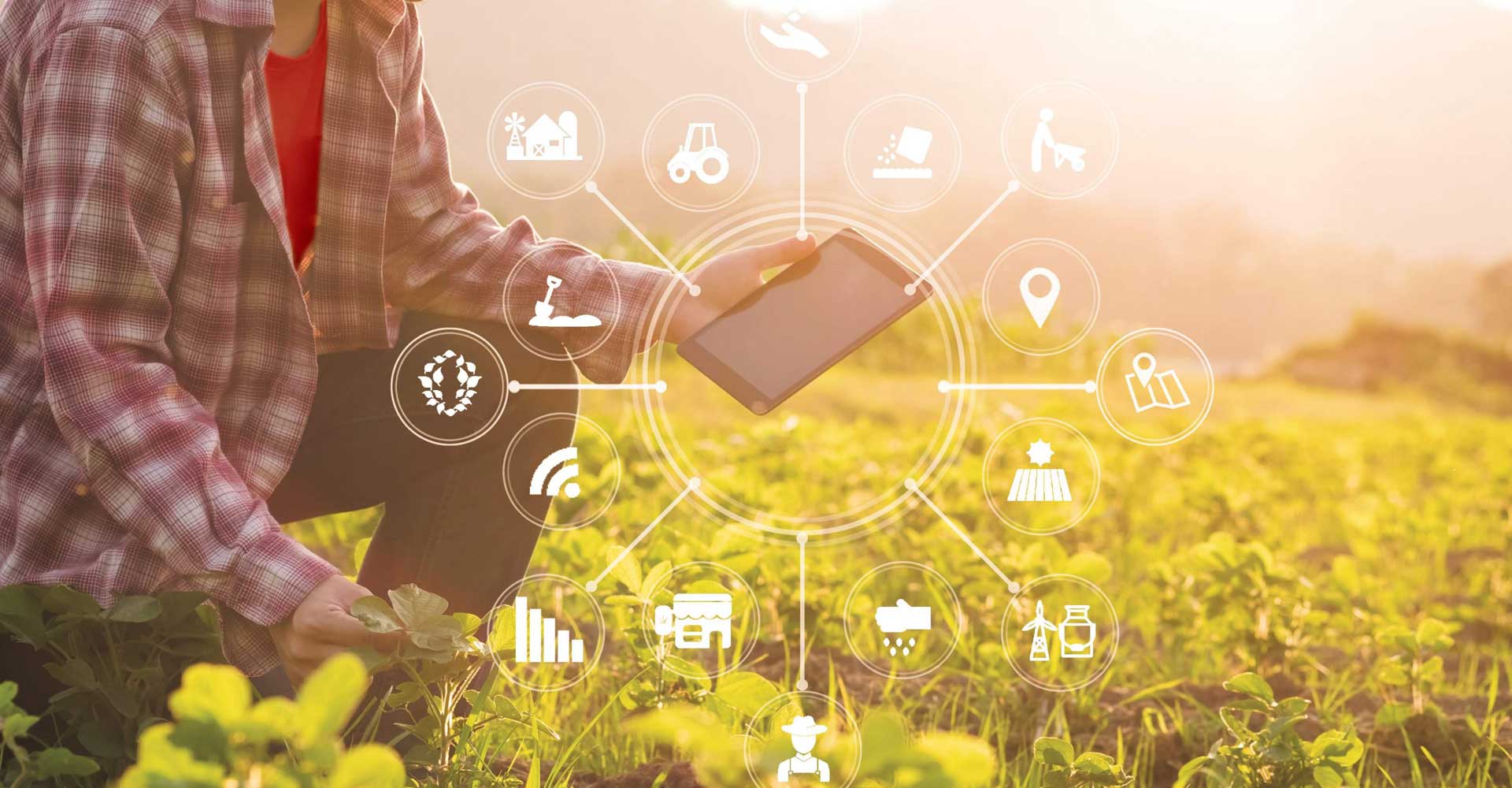 Image of a barner picture for different pages