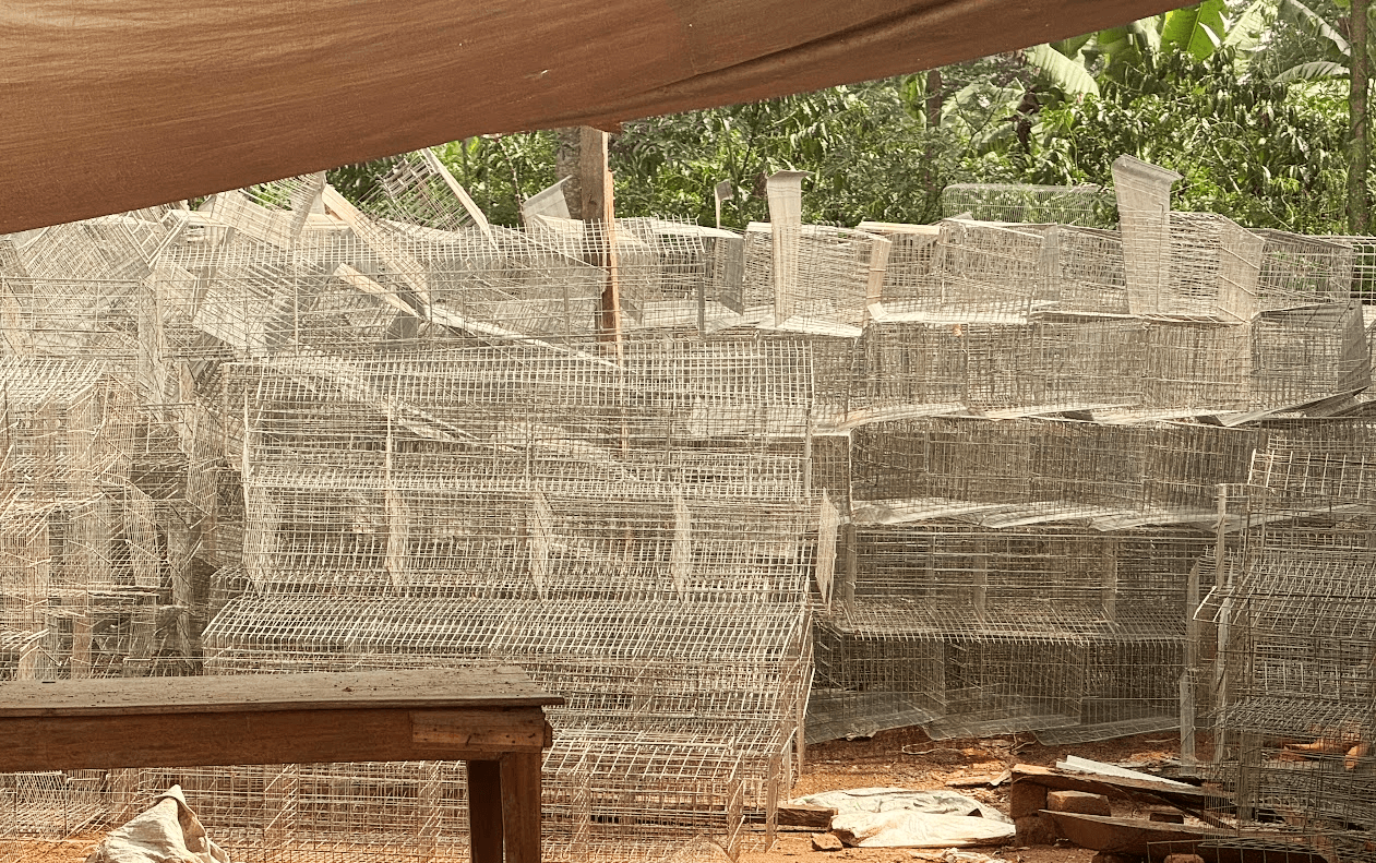 images of the project