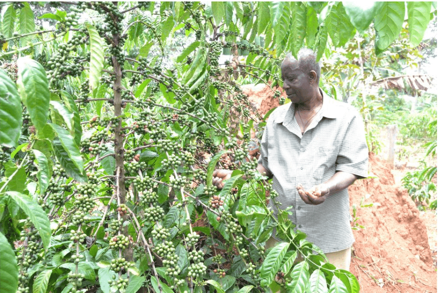 Image that is shown on the news article