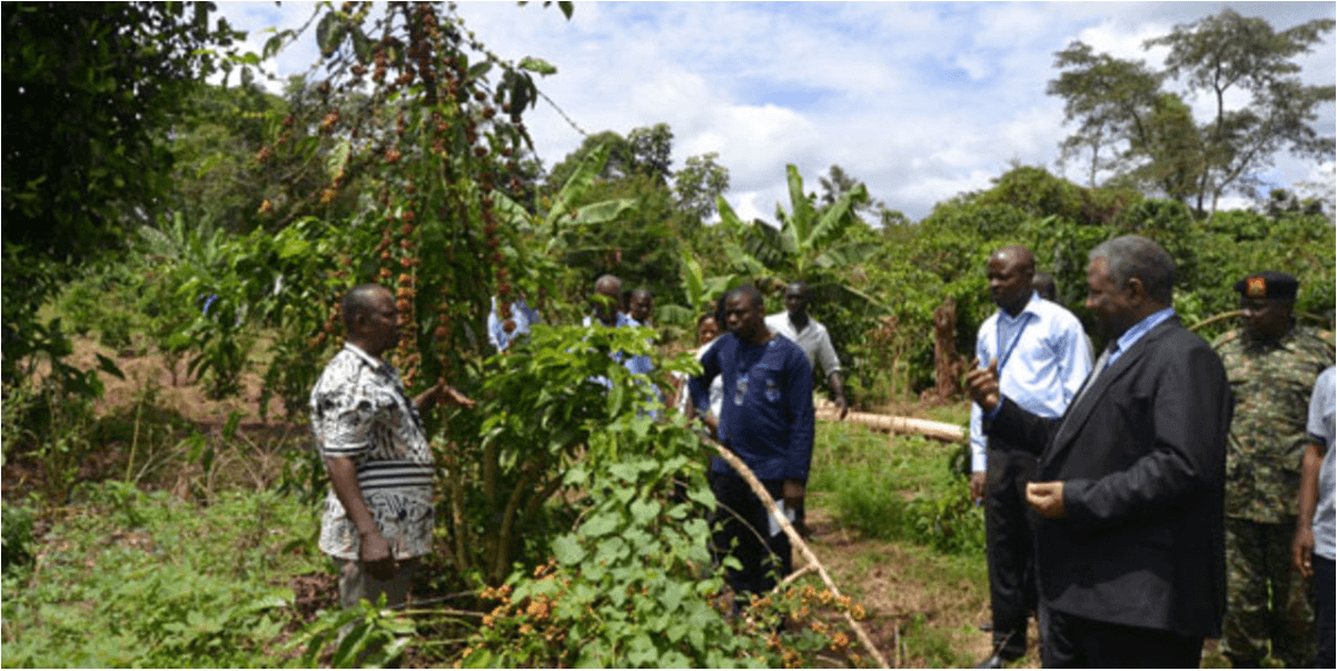 Image that is shown on the news article