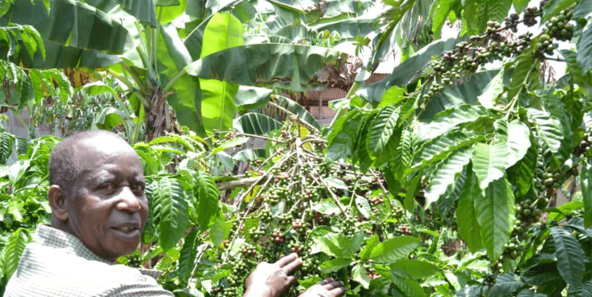 Image that is shown on the news article