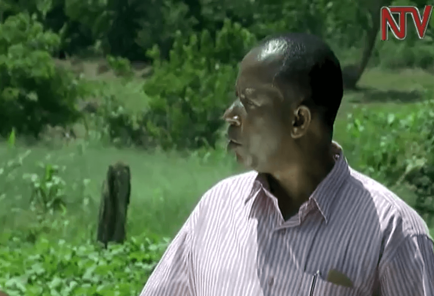 Image of Mr. Lwevuze being interviewed by NTV Uganda