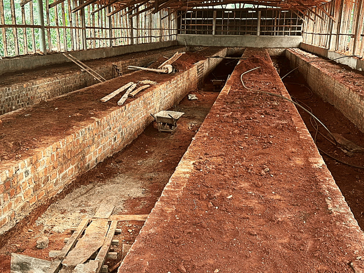 images of the project