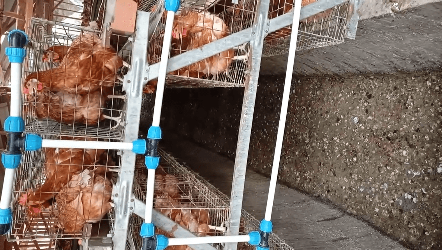 Image that is shown on the news article